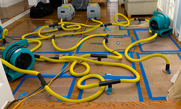 Professional Crawl Space Water Removal technician working in Spring Valley, CA